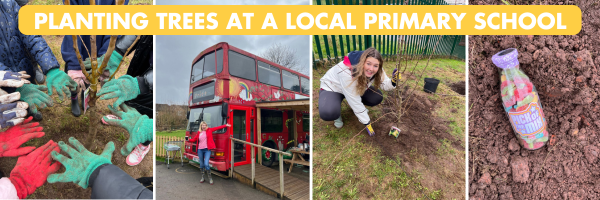 Planting Trees at Snape Wood Primary School