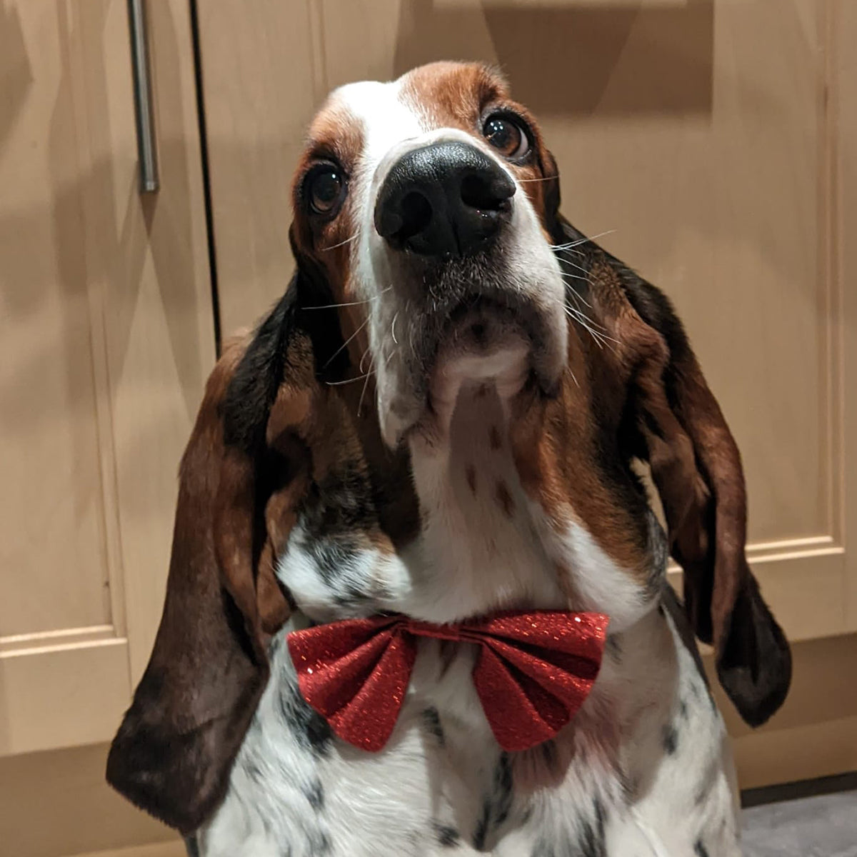 Treat Kitchen