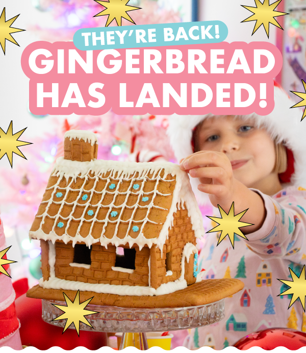 Our Best Selling Gingerbread Decorating Kits Are Back in Stock!