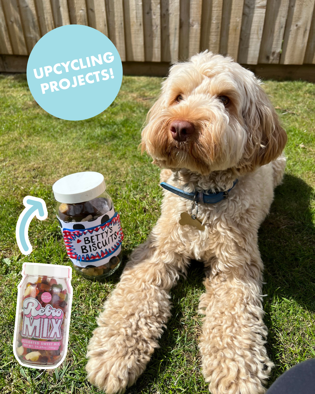 How to Reuse Glass Jars: 3 Easy Upcycling Ideas with Treat Kitchen Bottles