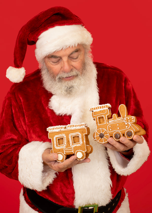 Gingerbread Train Decorating Kit