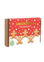 Letterbox Gingerbread Men Biscuits Decorating Kit