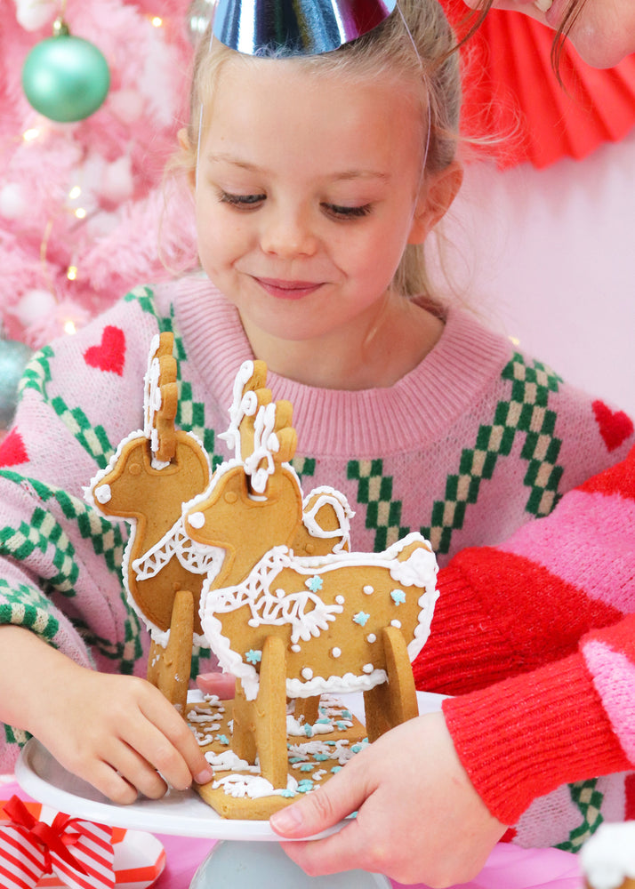 Gingerbread Reindeer Decorating Kit