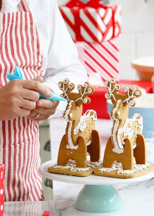 Gingerbread Reindeer Decorating Kit