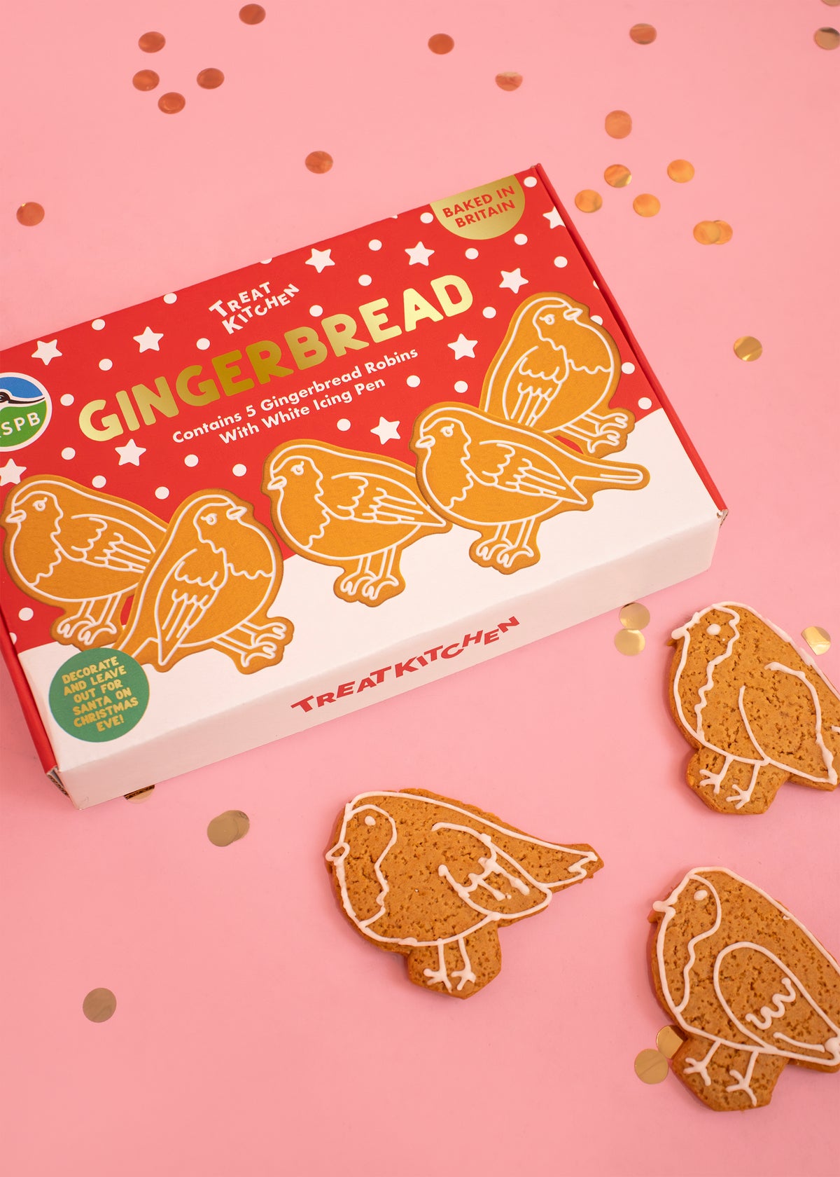 RSPB Letterbox Gingerbread Robins Decorating Kit